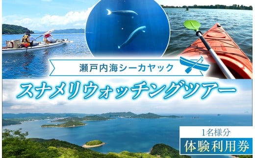【 体験利用券 】瀬戸内海 シーカヤック スナメリ ウォッチング ツアー （ 1 名様分 ） ｜ 旅行 体験 チケット アウトドア スポーツ 無料券 オーシャン マリン 港 ビーチ 船 海 瀬戸内 山口県 平生町