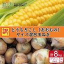 【ふるさと納税】 訳あり 玉ねぎ 3kg とうもろこし 5kg セット 詰め合わせ 野菜 サイズ混合 不揃い スイートコーン 玉ねぎ 玉葱 ハンバーグ 肉じゃが オニオン サラダ 旬 健康 味噌汁 数量限定 新鮮 季節 産地直送 発送 徳島県 阿波市