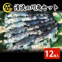 【ふるさと納税】清流の川魚 セット 12尾入 （ヤマメ・イワナ・ニジマス・アユ） （ 魚 12尾 ヤマメ イワナ ニジマス アユ セット 山女 岩魚 虹ます にじます 虹鱒 鮎 マス ます 鱒 魚 川魚 小分け 海鮮 魚介 魚介類 海鮮セット 魚沼 ）　【 魚沼市 2023年人気返礼品 】