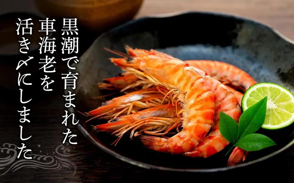 鹿児島県産 活き〆冷凍 車海老（養殖）Mサイズ300g（17～20尾）1パック セット【 エビ】