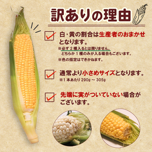 【 2026年 先行予約 】おまかせ 訳あり とうもろこし 15本 【 とうもろこし 】