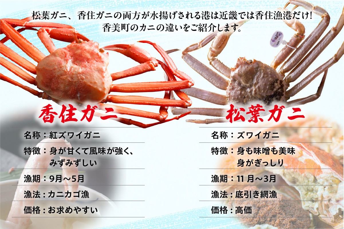 香住ガニ、松葉ガニの両方が水揚げされる港は近畿では香住漁港だけ！
香美町の「カニ」の違いをご紹介します。