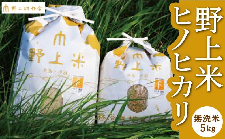 
            【指定日必須】野上耕作舎 野上米ヒノヒカリ 無洗米5kg ひのひかり 無洗米 米 お米 ご飯 国産 九州産 福岡県 うきは市
          