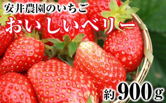 
No.184 【安井農園のいちご】おいしいベリー　約900g ／ フルーツ 果物 イチゴ 苺 千葉県 特産品
