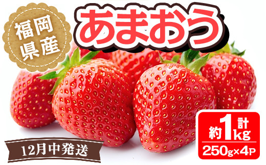 ＜先行予約受付中！2025年12月中に発送予定＞福岡県産 あまおう(計約1kg・250g×4P)いちご 苺 フルーツ 果物 くだもの 冷蔵 ＜離島配送不可＞【ksg1488】【エフビーネット】