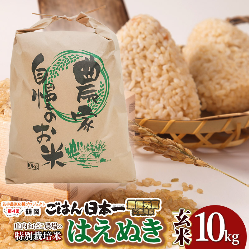 【令和7年産】【新米】庄内おばこ農場の特別栽培米 はえぬき【玄米】10kg（10kg×1袋）　K-784