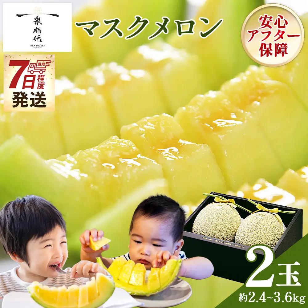 メロン 2玉入り【10月1日から7日以内に発送】 メロン tn-0065