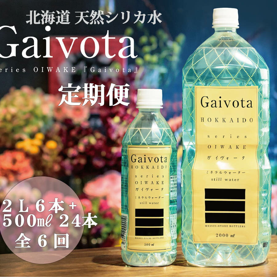 【ふるさと納税】 ＜定期便　Gaivota2箱（500ml×24本＋2L×6本）×6回分＞　北のハイグレード食品　北海道乙部町の天然シリカ水 ミネラルウォーター シリカウォーター 軟水 北海道 乙部町 天然水 美容 ケイ素 無添加 シリカ ガイヴォータ コーヒー リピーター 6か月
