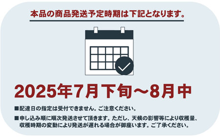 【2025年 先行予約 】朝もぎ直送 「 桃 白桃系 」5～8玉 約2kg規格箱入り【高機能共選機使用】選び抜かれた桃 / 桃 もも モモ 山梨桃 白鳳桃 人気桃 こだわり桃 ジューシー桃 おいしい桃