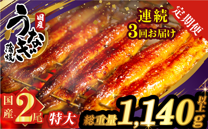 【3回連続定期便】うなぎ蒲焼特大2尾(さんしょう・たれ付き)総重量1140g以上 鰻 魚 魚介 加工品 国産_T026-0067-R