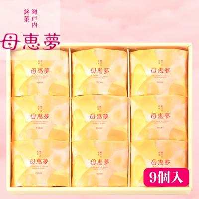 【ふるさと納税】瀬戸内銘菓 母恵夢 9個入　ポエム 手土産 贈答 ギフト　 お菓子 スイーツ 和菓子 茶菓子 バター風味 お土産
