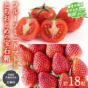 【ふるさと納税】とちおとめ と フルーツミニトマトの宝石箱 18粒【令和7年1月から発送開始】（県内共通返礼品：石岡市産） 詰め合わせ 果物 フルーツ 茨城県産