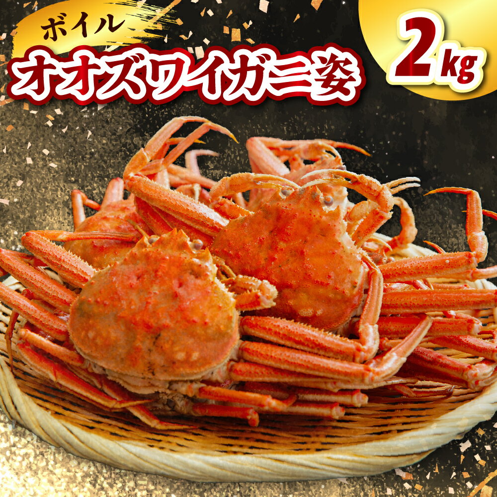 【ふるさと納税】北海道産 ボイル オオズワイガニ 姿 2kg (3～4杯) かに おおずわい 蟹 大ズワイ 大ズワイガニ ズワイガニ ズワイ ボイル かにみそ 蟹みそ 一杯 冷凍 魚介 魚介類 海鮮 国産 北海道 えりも町