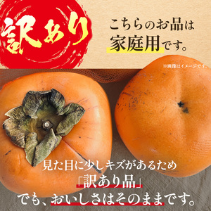 富有柿〈家庭用〉 約4kg（S～Lサイズ混載）  |  先行予約 大人気 人気 富有 柿 かき フルーツ 果物 辰巳果樹園 ギフト おすすめ 10月 11月 発送 カキ 秋の味覚 旬 甘い 大容量 農