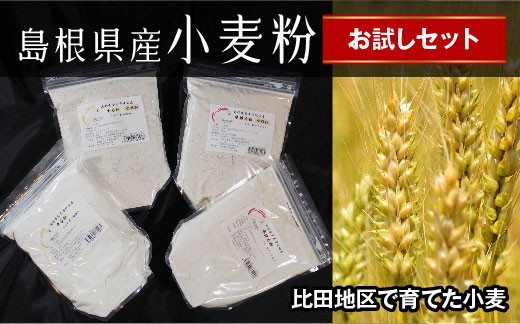 
小麦粉お試しセット 4種類 各500g【準強力粉 全粒粉 農林61号 パン うどん 麺 国産】
