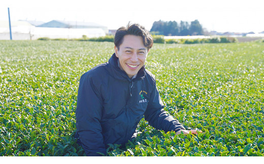 猿島茶 贈答用 茶葉セット（85g×3種）【茨城県共通返礼品／八千代町】  [DV006sa]