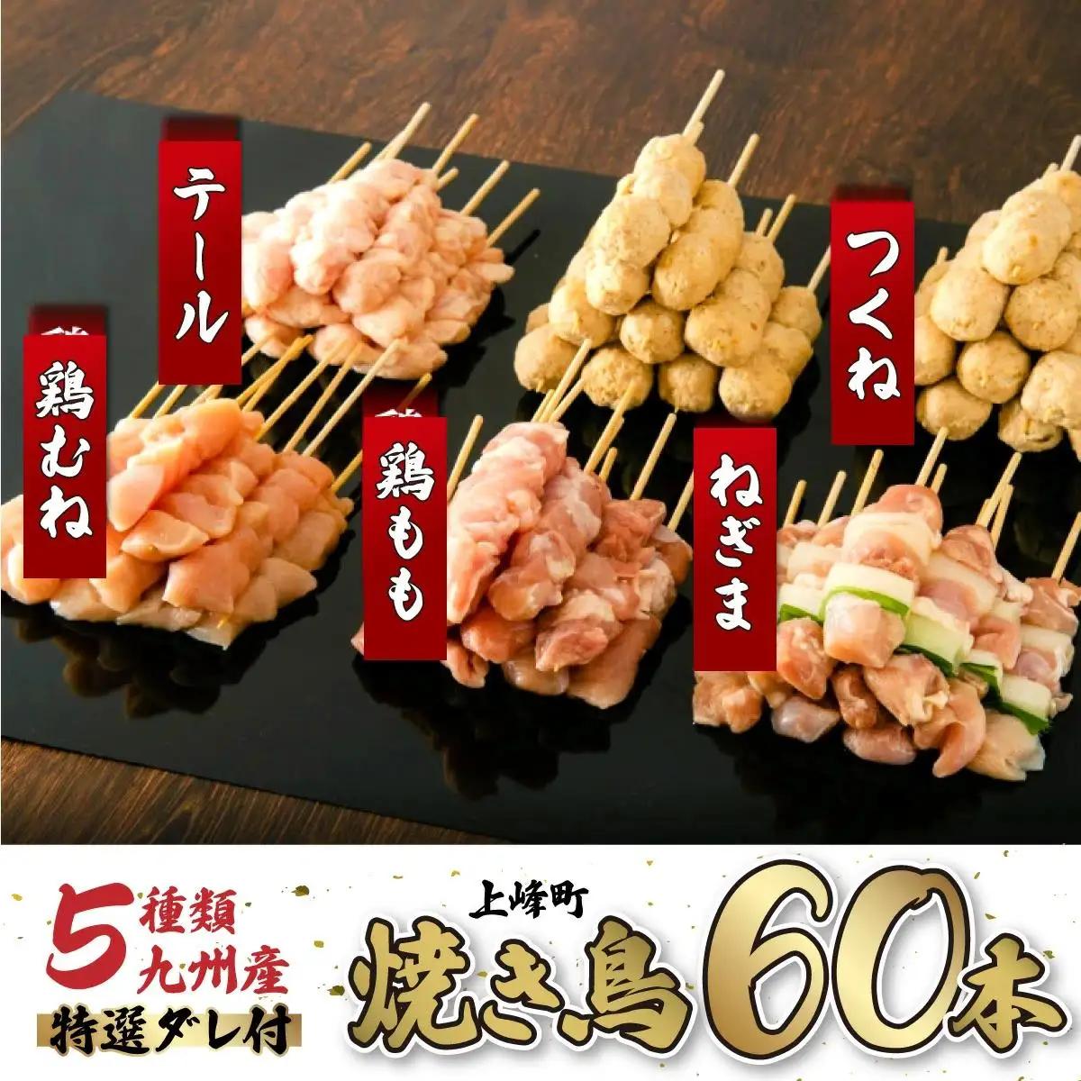 絶品！九州産焼鳥 5種盛合せ 60本（タレ付き）C-627