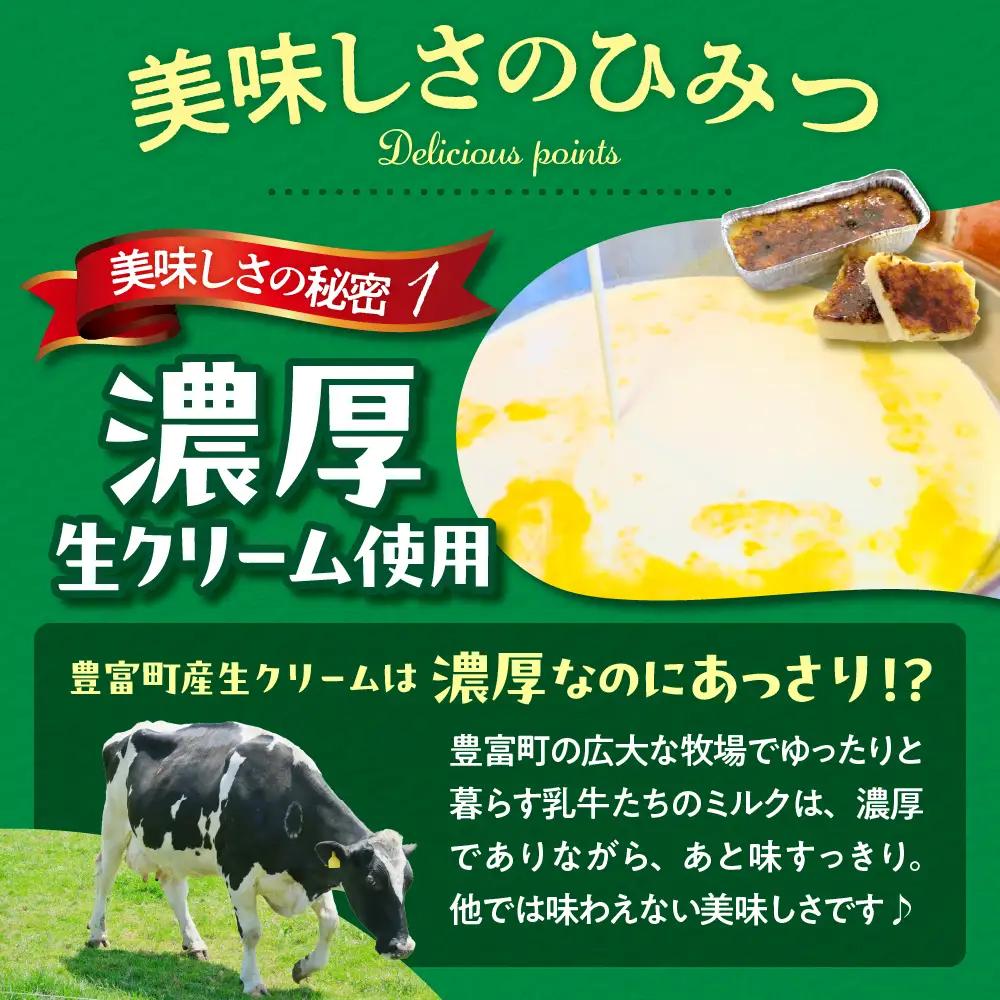 とよとみカタラーナ 10個【ハラペコmucca】 カタラーナ