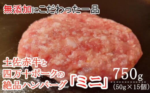 
										
										sd018ハンバーガー屋の本気ミニハンバーグ750ｇ（50ｇ×15個） ＜ 国産 高知県産 牛肉 豚肉 ブランド肉 希少 土佐あかうし 四万十ポーク ＞
									