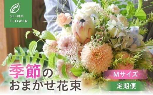季節のお花 Mサイズ 西濃フラワー 定期便  3回 