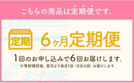 【6ヶ月定期便】一流パティシエが認める ホテル使用品 とろとろマカロン 6種セット 24個入