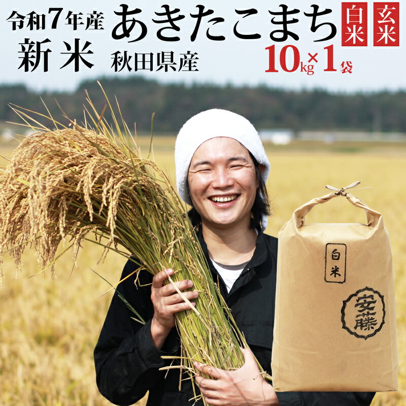 【ふるさと納税】《令和7年産 新米先行受付》秋田県産 あきたこまち 10kg(10kg×1袋) 【白米／玄米 選べる】令和7年産