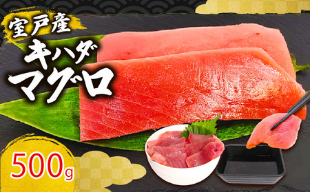 【 まぐろ 】 キハダマグロ 赤身 500g 