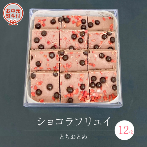 【 お中元 熨斗 付】 ショコラフリュイ とちおとめ 12枚 チョコレート チョコ スイーツ デザート 高級 ギフト 贈り物 お礼 プレゼント 手土産 お菓子 [DJ50-NT]