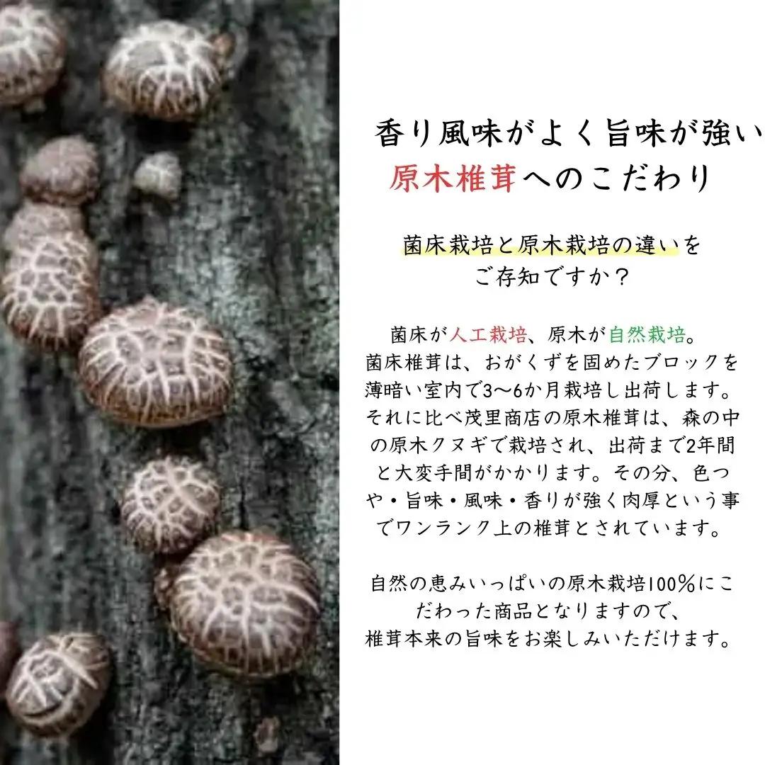 【訳あり椎茸】 山盛り 不揃い椎茸 500g | 津久見市