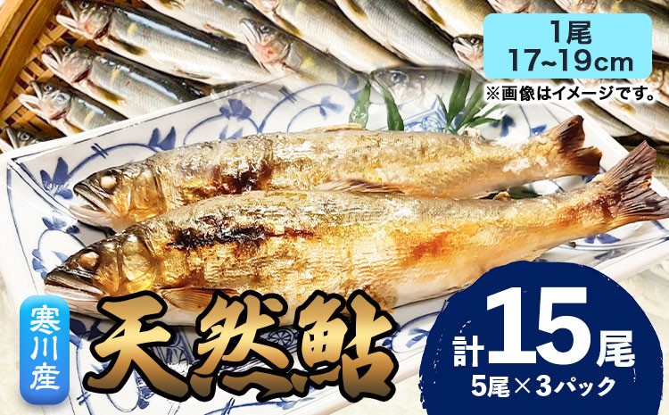 
                  天然鮎 あゆ 日高川 椿山ダム上流(寒川産) 17cm-19cm 5尾×3パック 計15尾  川漁師なおべ《7月上旬-11月中旬頃出荷》 和歌山県 日高川町 あゆ 鮎 天然鮎 魚
                