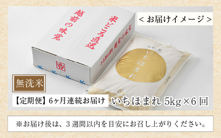 【令和6年産 新米】定期便6回 いちほまれ 無洗米 5kg×6回（30kg）《お米マイスターが発送直前に精米！》／ 福井県産 ブランド米 ご飯 白米 新鮮 [aw064-h001]