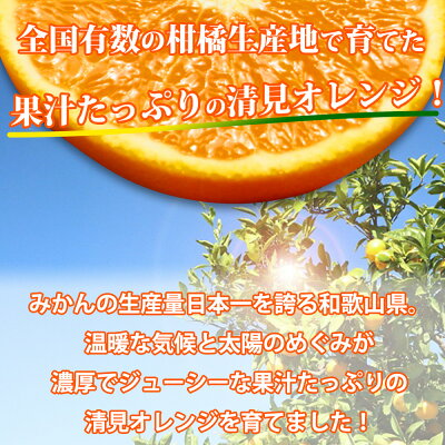 G7067_【2026年先行予約】紀州有田産 清見 オレンジ 7.5kg【家庭用 訳あり】