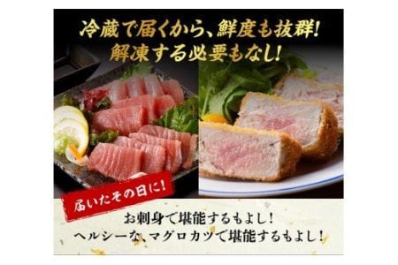 漁協直送！キハダマグロブロック（生）1kg 【 鮪 刺身 マグロ 漬け 新鮮 冷蔵 海の幸 】