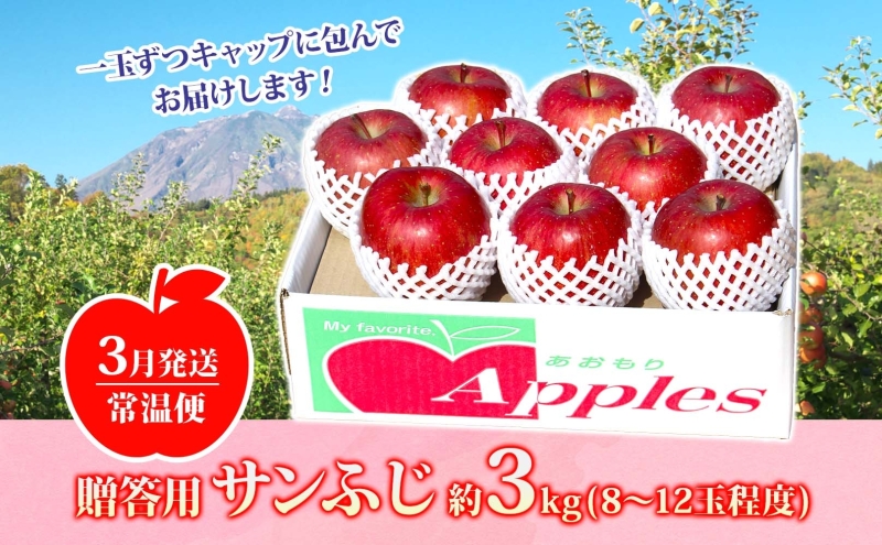 りんご 【3月発送】糖度13度～ 贈答用 サンふじ 約3kg　リンゴ 林檎 青森りんご 糖度 13度 甘い 酸味 デザート フルーツ 果物 お取り寄せ 産地直送 旬 季節限定 弘果物流 青森県 西目屋村 西目屋村産