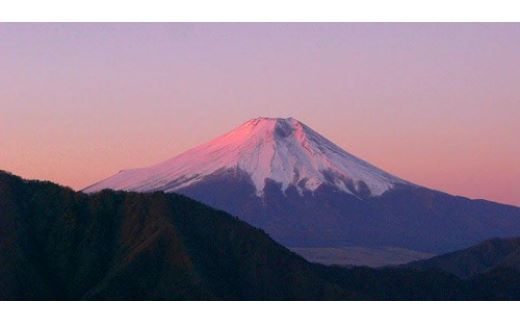 【返礼品なし】都留市ふるさと応援寄附金 1口1000円