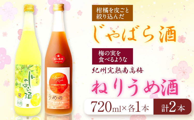 紀州完熟南高梅 ねりうめ酒 じゃばら酒 飲み比べセット 720ml×2本 厳選館 《90日以内に出荷予定(土日祝除く)》 和歌山県 日高川町 酒 飲み比べ 1440ml 梅 梅酒 酒(F)