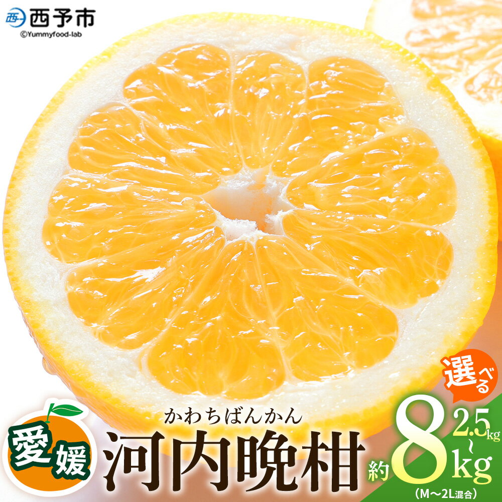 【ふるさと納税】＜愛媛県産 河内晩柑 約2.5kg／4kg／8kg（M～2L）＞ 柑橘 みかん 選べる フルーツ 和製グレープフルーツ ジューシー 初夏 旬 サイズ混合 西宇和 国産 さっぱり 甘い 農園オレンジとムラサキ 西予市【常温】『2026年4月～7月迄に順次出荷』
