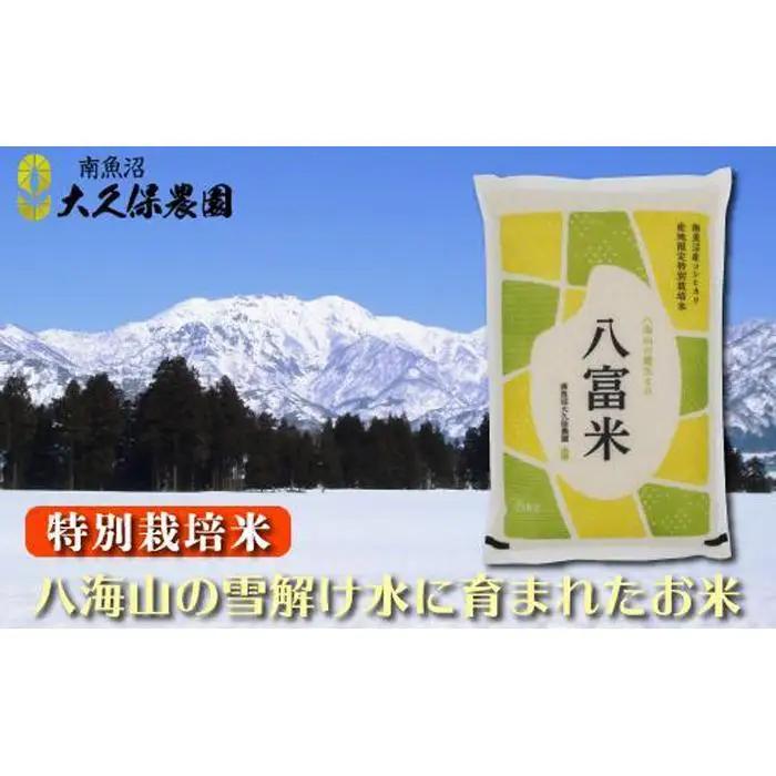 【令和8年産新米予約】南魚沼産コシヒカリ　特別栽培米　八富米　八海山の雪解け水が育むお米　白米５ｋｇ【2026年10月中旬から1ヶ月以内に順次発送予定】