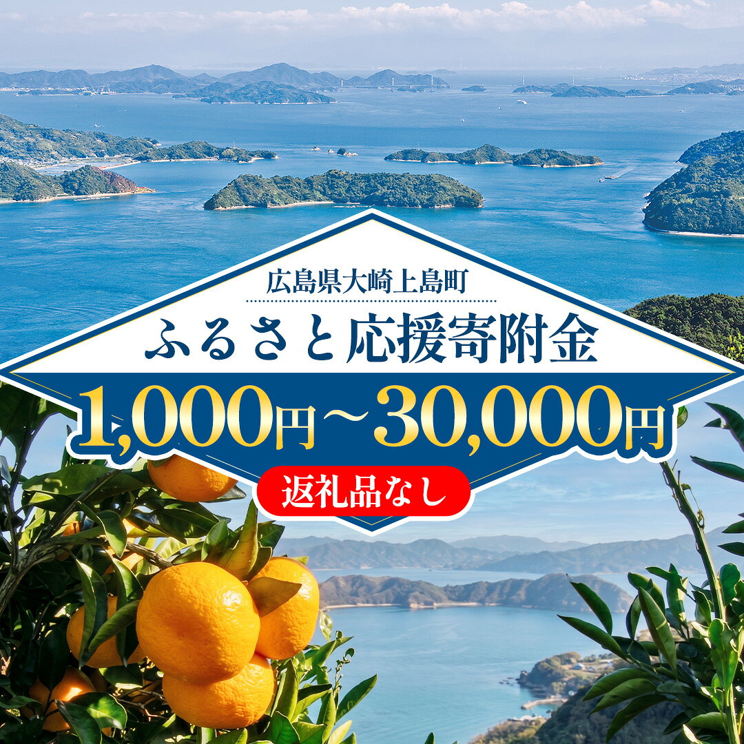 【ふるさと納税】 《返礼品なし》広島県大崎上島町 ふるさと応援寄附金 1000円 3000円 5000円 10000円 15000円 20000円 30000円