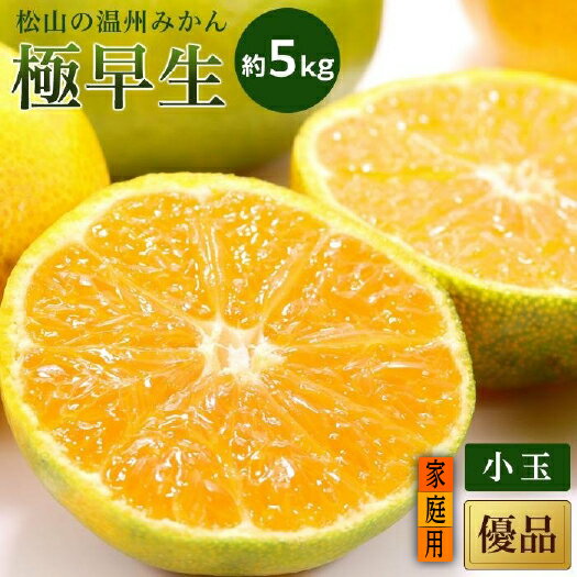 【ふるさと納税】 【2026年10月中旬頃から順次発送】 温州みかん「極早生」 【家庭用(優品) 小玉】 約5kg | 国産 愛媛みかん 愛媛蜜柑 愛媛ミカン みかん ミカン mikan 蜜柑 柑橘 フルーツ 果物 くだもの お取り寄せ 数量限定 人気 おすすめ 愛媛県 松山市 送料無料