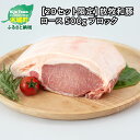 【ふるさと納税】≪放牧和豚≫ ロースブロック 500g - 国産 豚肉 豚 豚ブロック ブロック肉 ブロック 塊肉 かたまり肉 豚肉かたまり 豚ロース ロース肉 Pioneer Pork(パイオニアポーク) 真空パック トンカツ/ローストポークに こだわり 送料無料 【宮崎県木城町】