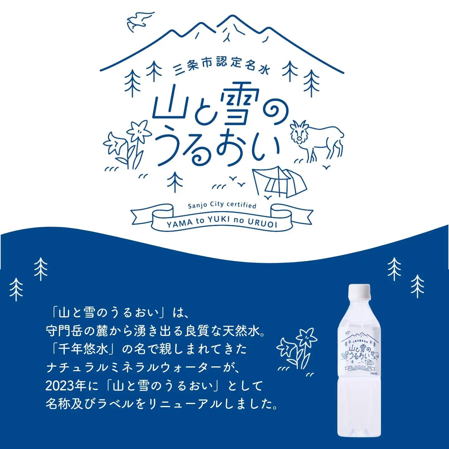 定期便 ミネラルウォーター 500ml×24本 6か月 ナチュラルミネラルウォーター 山と雪のうるおい 軟水 防災 新潟県三条市