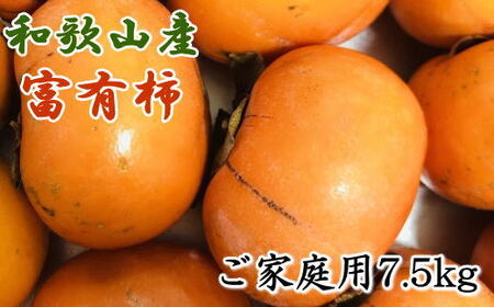 果物 フルーツ 柿 旬 / 和歌山産富有柿ご家庭用約7.5kg※2024年11月上旬～2024年12月上旬頃に順次発送 【tec407A】