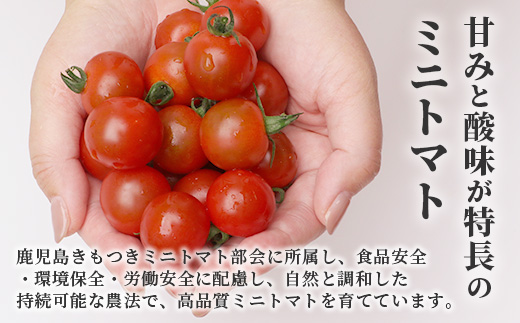 【先行予約】田淵さんちの美味しい ミニトマト 小鈴 2kg（1kg×2箱）｜鹿児島県 南大隅 産地直送 旬 とまと ミニトマト 野菜 やさい 送料無料 ≪2025年11月より順次発送≫