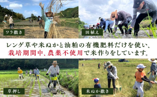 無農薬で育てたお米で作った 日本酒 『田縁一献（でんえんいっこん）』 純米酒 720ml×2本 糸島市 / 田縁プロジェクト [AUM001] 酒 日本酒 純米酒 720ml 2本 セット ギフト 贈