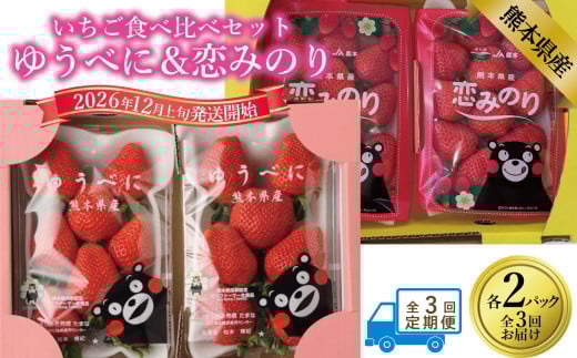 【年3回定期便】 いちご（ゆうべに＆恋みのり各2パック）計4パック×3回 【2026年12月上旬発送開始】 いちご イチゴ 苺 ゆうべに 恋みのり 果物 くだもの フルーツ 果実 果汁 定期便 年3回 熊本県 熊本県産