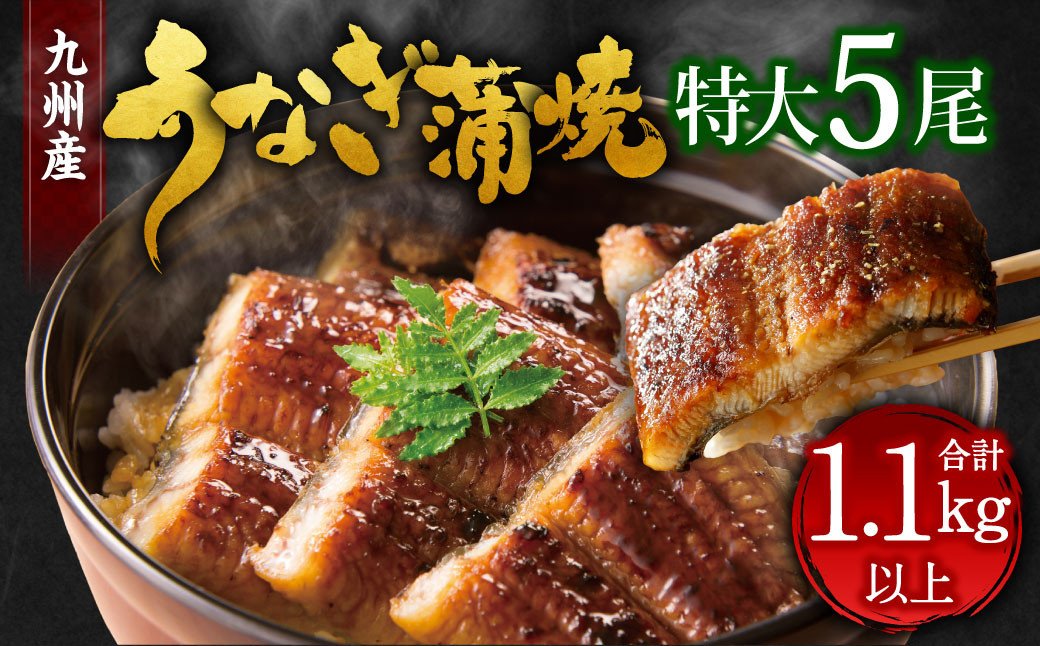 
九州産 うなぎ 蒲焼 特大 5尾 計1.1kg以上 (1尾あたり220～235g)
