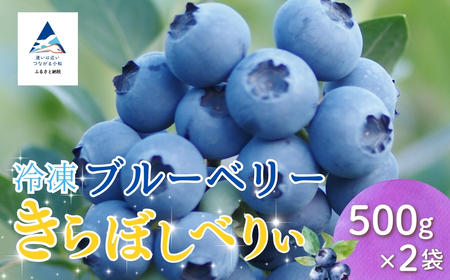 冷凍ブルーベリー 1kg（500g×2袋） きらぼしファーム ブルーベリー ベリー