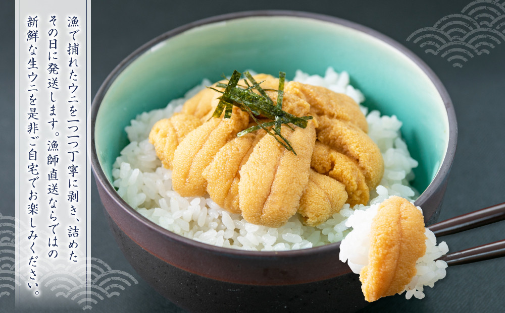 北海道小樽市 塩水キタムラサキウニ 100g×6パック 合計600g 【漁師直送】