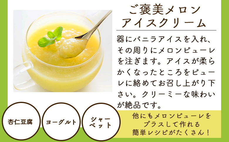 【2回定期便】完熟マスクメロンピューレ 120g×6袋 - JALファーストクラス機内食に採用 果物 くだもの フルーツ めろん 果汁100％ まるごと アイス シャーベット デザート スイーツ 篤農